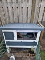 2 Hollander konijnen incl Ferplast Lodge hok en toebehoren, Dieren en Toebehoren, Meerdere dieren, Middelgroot, 0 tot 2 jaar