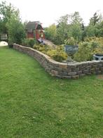 kippen , ganzen ,eenden, Dieren en Toebehoren, Meerdere dieren, Gans of Zwaan