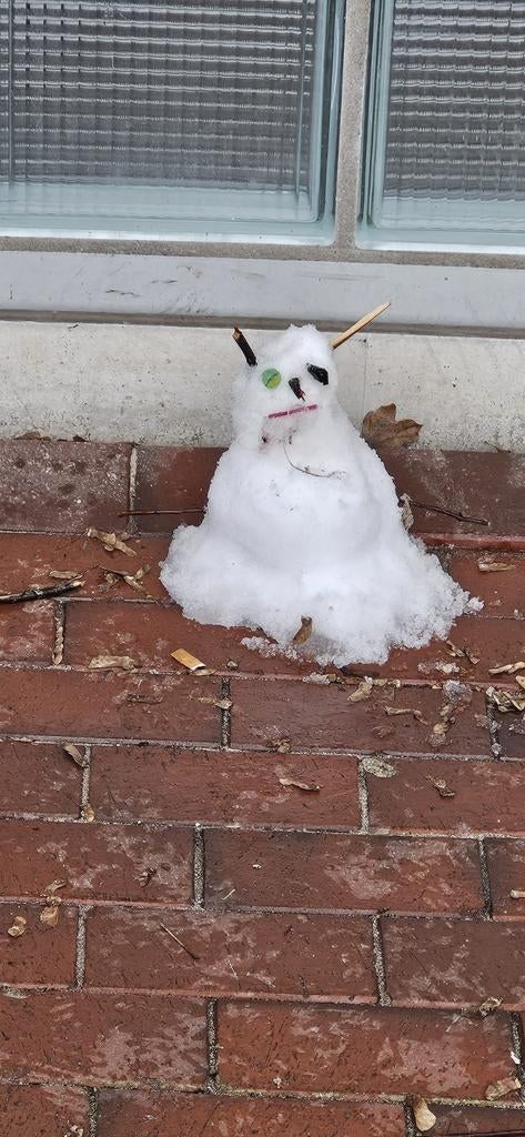 Oppas gezocht, Overige uren, Overige niveaus, Starter, Overige vormen