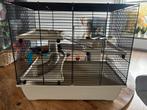 Hamsterkooi, Dieren en Toebehoren, Ophalen, Minder dan 75 cm, Kooi, Minder dan 60 cm