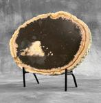 Prachtige grote schijf versteend hout INDONESIË 5.4 KG, Verzamelen, Mineralen en Fossielen, Ophalen of Verzenden