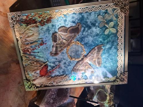 Frame met bolglas en hemelboomvlinders, Antiek en Kunst, Curiosa en Brocante, Ophalen of Verzenden