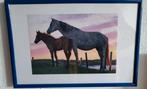 Ingelijste  foto van 2 PAARDEN 31 bij 21 cm., Minder dan 50 cm, Oorspronkelijke maker, Ophalen of Verzenden, Zo goed als nieuw