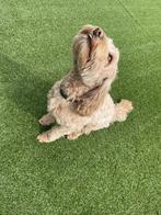 Kunstgras STUNT VERKOOP OP = OP, Ophalen, Nieuw, 20 m² of meer, Kunstgras