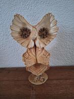 Uil gemaakt van schelpen 20cm hoog, Verzamelen, Mineralen en Fossielen, Ophalen of Verzenden, Schelp(en)