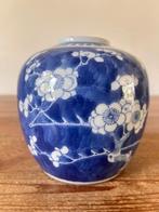Vaas / Gemberpot - porselein - China - Prunus decor, Ophalen of Verzenden