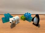 Lego Duplo 10501 pooldieren/ dierentuinvrienden (+extra ijs), Ophalen of Verzenden, Zo goed als nieuw, Duplo
