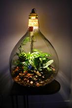 XXL Ecosysteem/planten terrarium/flessentuin met lamp, Ophalen, Overige soorten, Halfschaduw, In pot