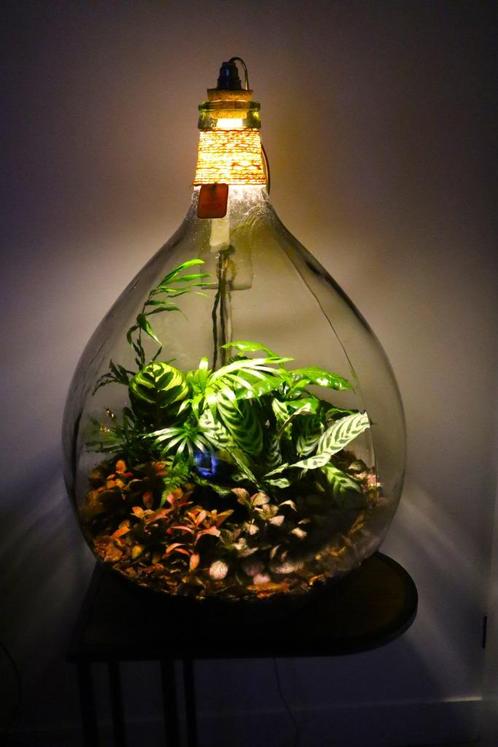 XXL Ecosysteem/planten terrarium/flessentuin met lamp, Huis en Inrichting, Kamerplanten, Overige soorten, Minder dan 100 cm, Groene kamerplant