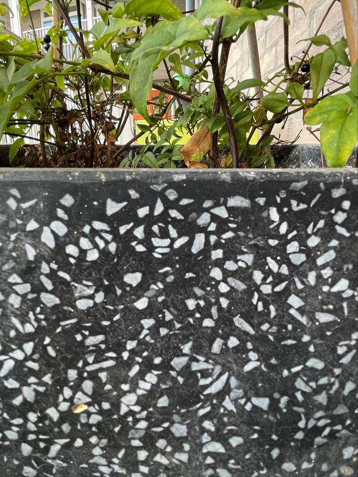 2 betonnen bloembakken 40x40x40 cm, Tuin en Terras, Bloembakken en Plantenbakken, Zo goed als nieuw, Beton, Binnen, Balkon, Tuin