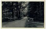 Roden - Lieversche weg, Verzenden, 1920 tot 1940, Gelopen, Drenthe