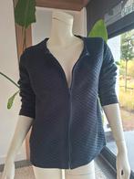 Purdey Donkerblauw Vest XXL - Maat 44 blauw, Kleding | Dames, Blauw, Maat 42/44 (L), Ophalen of Verzenden, Zo goed als nieuw