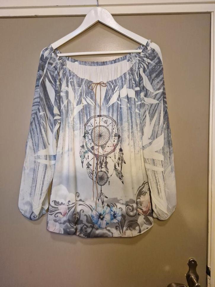Dromenvanger top maat 40. Zo goed als nieuw., Kleding | Dames, Tops, Zo goed als nieuw, Maat 38/40 (M), Lange mouw, Ophalen of Verzenden
