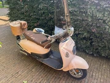 2 voor slechts €1000,- beschikbaar voor biedingen