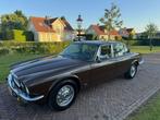 Jaguar XJ 4.2 L II AUT 1979 Bruin, Automaat, Beige, Bruin, Bedrijf