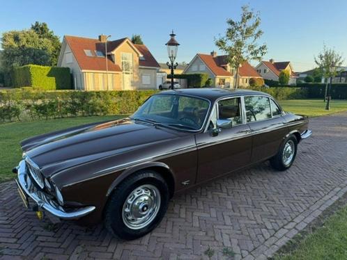 Jaguar XJ 4.2 L II AUT 1979 Bruin, Auto's, Jaguar, Bedrijf, XJ, Benzine, Sedan, Automaat, Origineel Nederlands, Bruin, Beige, Leder
