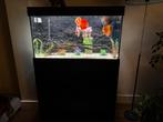 Aquatlantis Aquarium 100 x 60 x 40, Ophalen of Verzenden, Zo goed als nieuw, Leeg aquarium