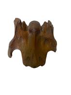 Wie weet voor bot dit is? Nekwervel? Mammoet? Oud fossiel., Ophalen of Verzenden, Fossiel