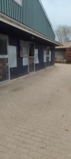 Stallen met buiten luik of binnen stallen te huur Oostwoud.