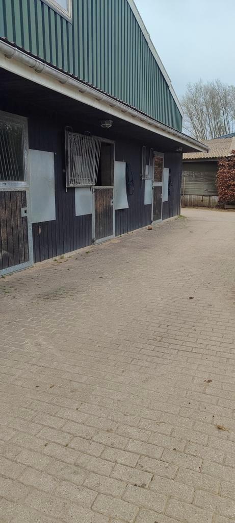 Stallen met buiten luik of binnen stallen te huur Oostwoud., Dieren en Toebehoren, Stalling en Weidegang