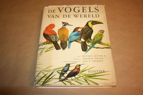 Dikke pil. De vogels van de werel. Rijk geïllustreerd., Boeken, Dieren en Huisdieren, Gelezen, Vogels, Ophalen of Verzenden