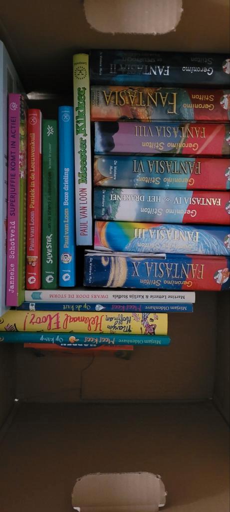 Kinderboeken Deal: Geronimo Stilton, Paul van Loon & meer, Boeken, Kinderboeken | Jeugd | onder 10 jaar, Gelezen, Fictie algemeen