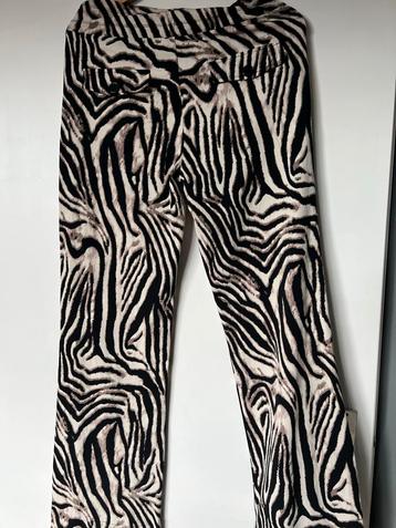 Zebra print broek beschikbaar voor biedingen
