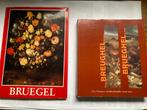 T.K. nog 1 boek over Pieter Brueghel en Jan Brueghel, Ophalen of Verzenden, Gelezen, Schilder- en Tekenkunst