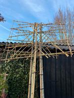 Lei bomen en dakbomen in soorten en maten nu planttijd, Ophalen of Verzenden