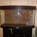Juwel Vision 180 - Aquarium & Kast + Toebehoren, Ophalen, Gebruikt, Filter of Co2