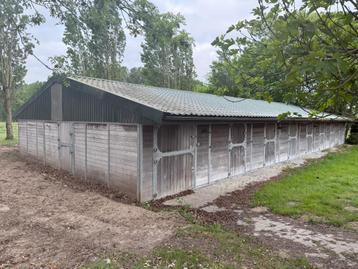 Systeemstal – 10 ruime paardenboxen - Montage mogelijk beschikbaar voor biedingen