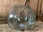 NIEUW Countryfield glazen cactus vaas, Ophalen, Nieuw, Glas, Minder dan 50 cm