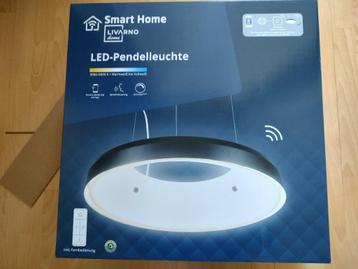 Lidl Livarno Zigbee Smart hang lamp LED dimbaar met AB beschikbaar voor biedingen