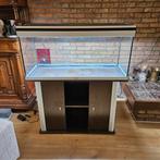Aqualantis 200L inclusief toebehoren, Ophalen, Zo goed als nieuw, Leeg aquarium