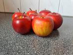 Decoratief nepfruit appels, Onbekend, Ophalen of Verzenden, Zo goed als nieuw, Onbekend