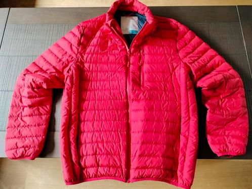 Esprit jack jasje rood maat M gedragen lengte 1.75 en 80 kg., Kleding | Dames, Jassen | Zomer, Zo goed als nieuw, Rood, Ophalen of Verzenden