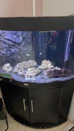 Aquarium juwel trigion 190, Dieren en Toebehoren, Vissen | Aquaria en Toebehoren, Ophalen, Gebruikt, Gevuld zoetwateraquarium