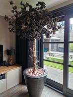 Unieke Rituals kunstboom/bloesemboom met pot, 250cm hoog!, Ophalen, Zo goed als nieuw, Binnen