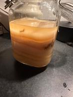 Kombucha scoby zwammen, Ophalen