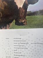 LP’s jaren 70, 80 en 90., Ophalen of Verzenden, 1960 tot 1980, Zo goed als nieuw, Overige formaten