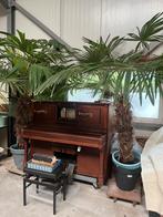 Pianola - Gebruikt, Muziek en Instrumenten, Piano's, Ophalen of Verzenden, Gebruikt, Bruin, Piano