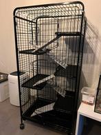 Knaagdieren Kooi, Dieren en Toebehoren, Knaagdieren en Konijnen | Hokken en Kooien, Ophalen, Kooi, 90 cm of meer, Minder dan 75 cm