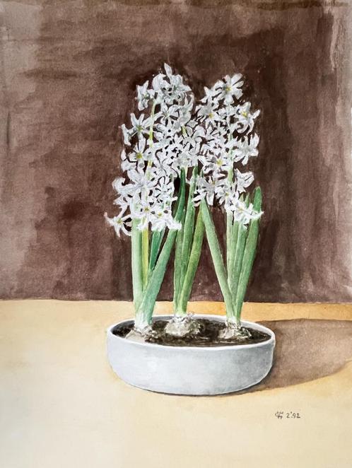 Louis van Gorkum - Witte hyacinten I - 2'92 - 57x47 aquarel, Antiek en Kunst, Kunst | Schilderijen | Klassiek, Ophalen of Verzenden