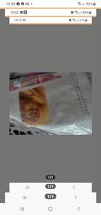 Diamond pianting uil, Ophalen, Nieuw, Knutselwerk