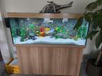 Juwel rio 450 aquarium, Dieren en Toebehoren, Ophalen, Gevuld zoetwateraquarium