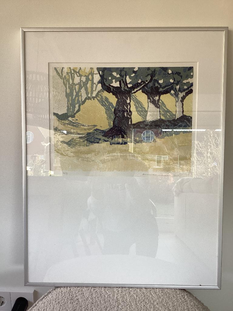 Zeefdruk Annemieke Harkema getiteld “bomen” 2004, Antiek en Kunst, Ophalen