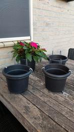 ELHO plantenhangers 4 stuks /  4 metalen hangers + bloempot, Ophalen, Kunststof, Gebruikt, Minder dan 30 cm