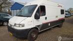Peugeot Boxer 2000 2.5 TDI DJ5TED Wit 249 onderdelen