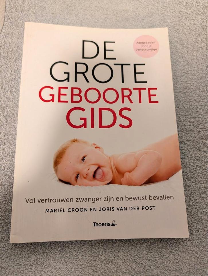 De Grote Geboorte Gids - Mariël Croon, Boeken, Zwangerschap en Opvoeding, Zo goed als nieuw, Zwangerschap en Bevalling, Ophalen of Verzenden