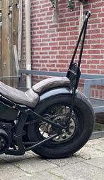Sissybar met spatbord, Motoren, Onderdelen | Harley-Davidson, Ophalen, Gebruikt